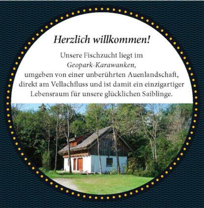Ferienhaus Klopeinersee Kaernten Sittersdorf Kültér fotó